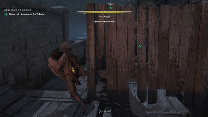 10 - Black Flag Resynced: Cierpieć, ale nie umierać - AC Black Flag Resynced - poradnik do gry