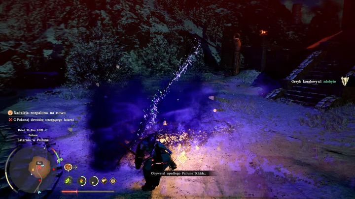 4 - Crimson Desert: Jak pokonać bossa Dowódca strzegący latarni w Pailune? - Crimson Desert - poradnik do gry