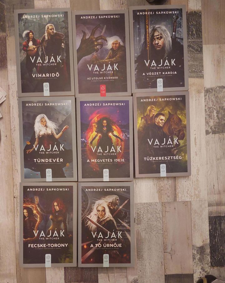 Okładki Wiedźmina potrafią przyciągać wzrok. Tak wyglądają zagraniczne wydania - ilustracja #1