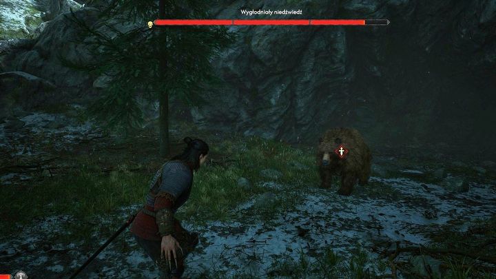 2 - Dawnwalker: Wszystkie mapy skarbów - The Blood of Dawnwalker - poradnik do gry