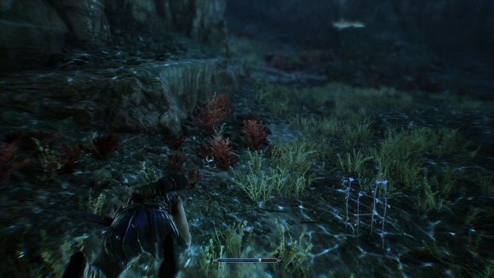 3 - Gothic Remake: Jak zdobyć wierzchowca? - Gothic Remake - poradnik do gry