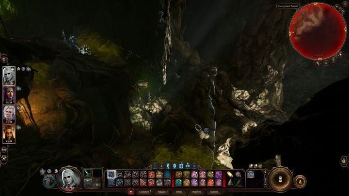 6 - Baldurs Gate 3: Uratuj Mayrinę - Baldurs Gate 3 - poradnik do gry