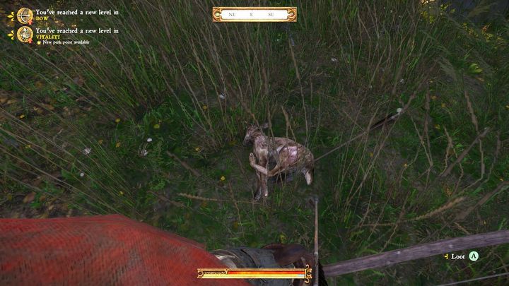 3 - Kingdom Come: Zdobycz - Kingdom Come Deliverance - poradnik do gry