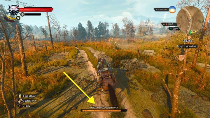 2 - Wiedźmin 3 Remaster: Jazda konno, pływanie i używanie łodzi - Wiedźmin 3 Dziki Gon - poradnik do gry