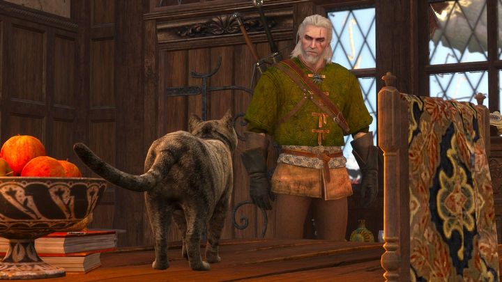 3 - Wiedźmin 3 Remaster: Czy można głaskać zwierzęta? - Wiedźmin 3 Dziki Gon - poradnik do gry