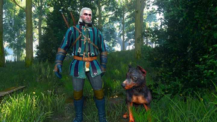 1 - Wiedźmin 3 Remaster: Czy można głaskać zwierzęta? - Wiedźmin 3 Dziki Gon - poradnik do gry