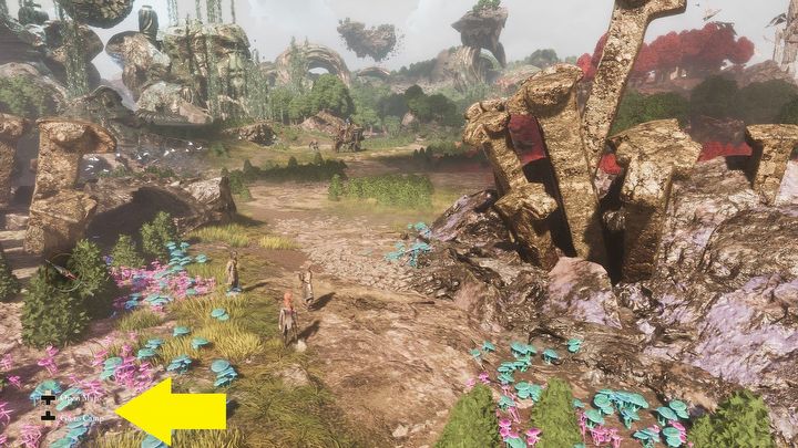 1 - Expedition 33: Czy jest mapa? - Expedition 33 - poradnik do gry