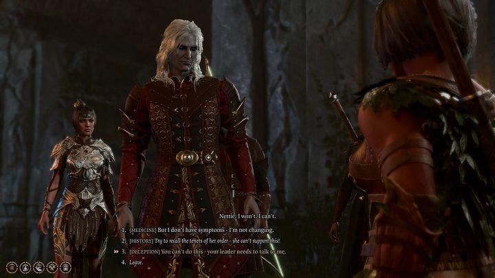 3 - Baldurs Gate 3: Uzyskaj pomoc uzdrowicielki Nettie - Baldurs Gate 3 - poradnik do gry