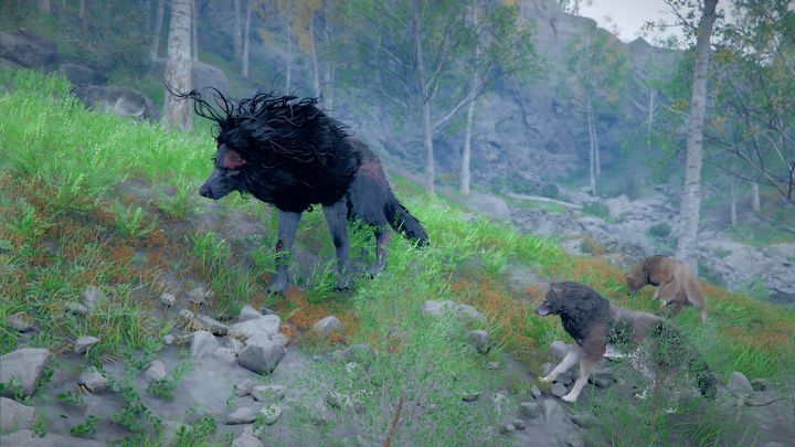 1 - Crimson Desert: Gdzie znaleźć i jak pokonać legendarnego wilka Czarny Kieł? - Crimson Desert - poradnik do gry