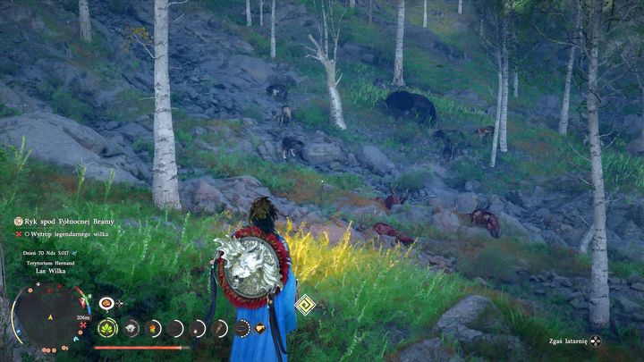 5 - Crimson Desert: Gdzie znaleźć i jak pokonać legendarnego wilka Czarny Kieł? - Crimson Desert - poradnik do gry