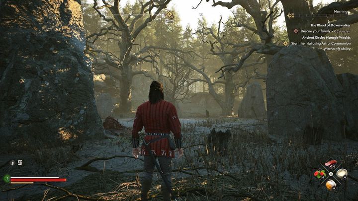 10 - Dawnwalker: Interaktywna mapa - The Blood of Dawnwalker - poradnik do gry