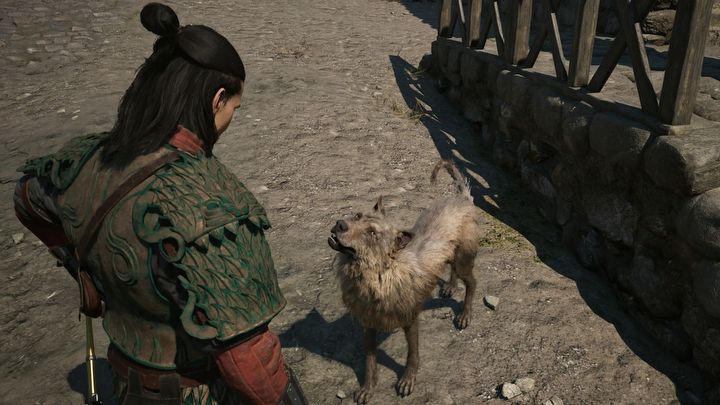 1 - Dawnwalker: Jak głaskać psy i koty? - The Blood of Dawnwalker - poradnik do gry