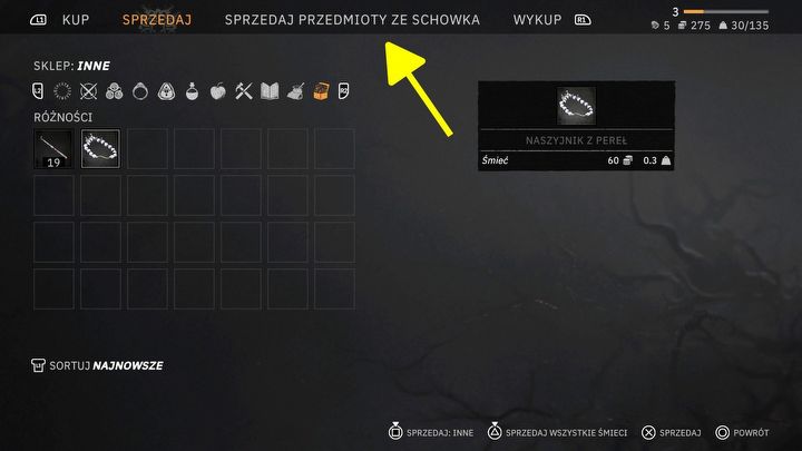 4 - Tainted Grail: Gdzie jest skrytka na przedmioty? - Tainted Grail - poradnik i mapa