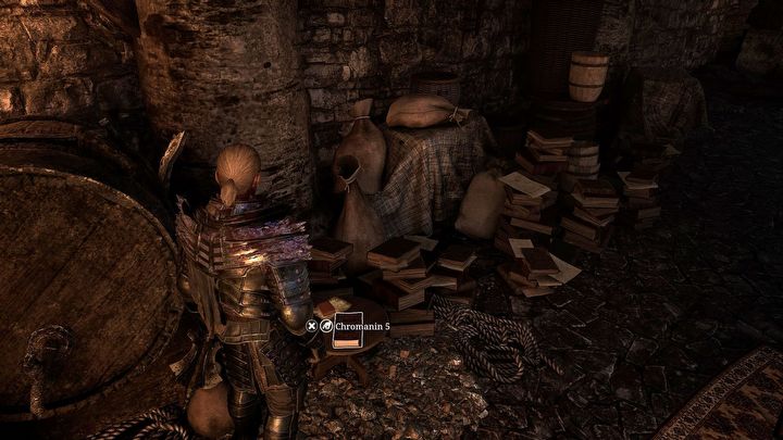 15 - Gothic Remake: Nieznajomy - Gothic Remake - poradnik do gry