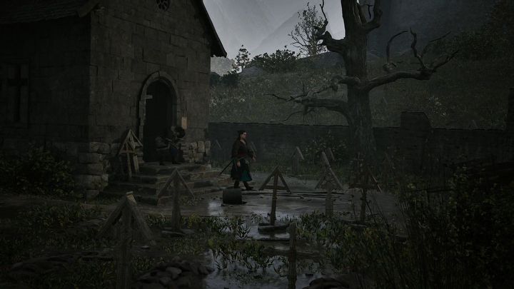9 - Dawnwalker: Co porusza martwych - The Blood of Dawnwalker - poradnik do gry