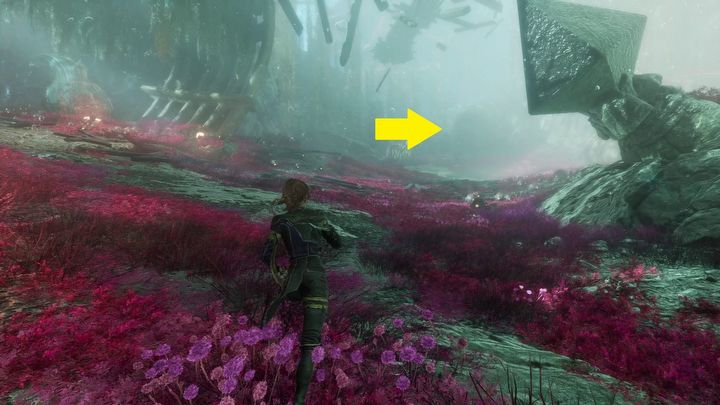 1 - Expedition 33: Jak pomóc Demineurowi? - Expedition 33 - poradnik do gry