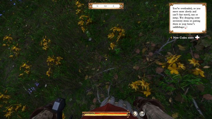 1 - Kingdom Come: Jak rozwiązać problem przeciążenia? - Kingdom Come Deliverance - poradnik do gry