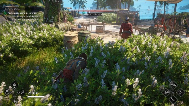 2 - Black Flag Resynced: Trzcinowe żniwa - AC Black Flag Resynced - poradnik do gry