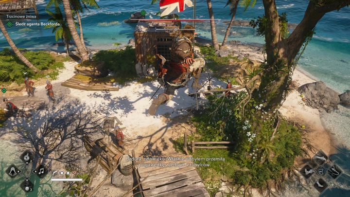 3 - Black Flag Resynced: Trzcinowe żniwa - AC Black Flag Resynced - poradnik do gry