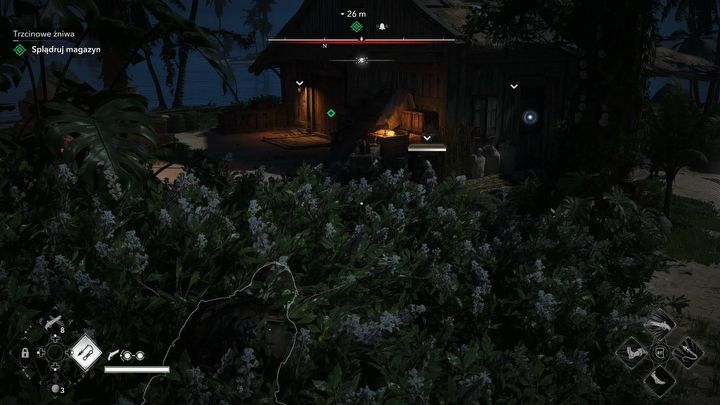8 - Black Flag Resynced: Trzcinowe żniwa - AC Black Flag Resynced - poradnik do gry