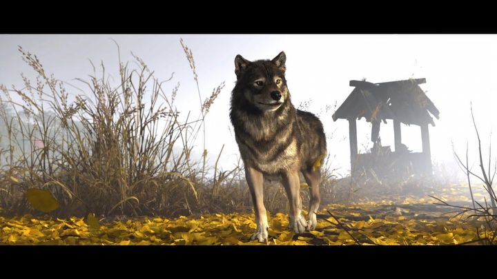 1 - Ghost of Yotei: Jak wezwać wilka? - Ghost of Yotei - poradnik do gry