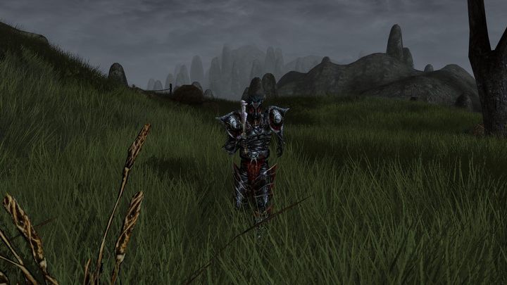 Gry RPG są dziś za łatwe. Kiedyś byłem pielgrzymem, teraz jestem niewolnikiem - ilustracja #1