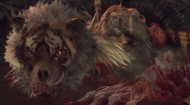 1 - Wuchang Fallen Feathers: Jak pokonać Fierce Tiger, Sovereign Zhang Xianzhong? - Wuchang Fallen Feathers - poradnik do gry