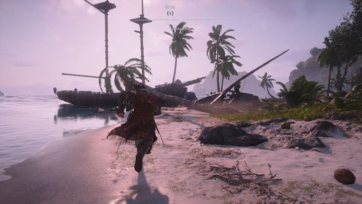 14 - Black Flag Resynced: Portrety - AC Black Flag Resynced - poradnik do gry