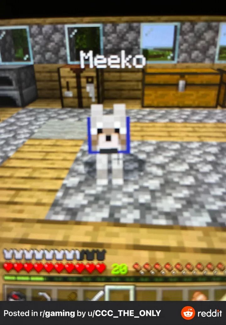 Monument dla zmarłego kota w Minecrafcie, gracz oddał hołd swojemu pupilowi - ilustracja #1