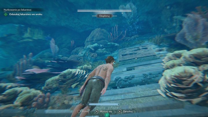 4 - Black Flag Resynced: Nurkowanie po lekarstwa - AC Black Flag Resynced - poradnik do gry