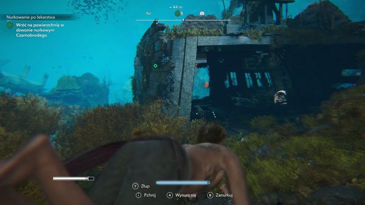 6 - Black Flag Resynced: Nurkowanie po lekarstwa - AC Black Flag Resynced - poradnik do gry