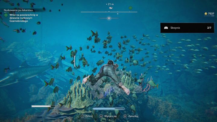 7 - Black Flag Resynced: Nurkowanie po lekarstwa - AC Black Flag Resynced - poradnik do gry