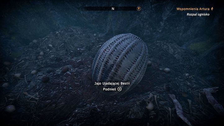 6 - Tainted Grail: Jak odblokować konia i specjalnego wierzchowca Qrko? - Tainted Grail - poradnik i mapa