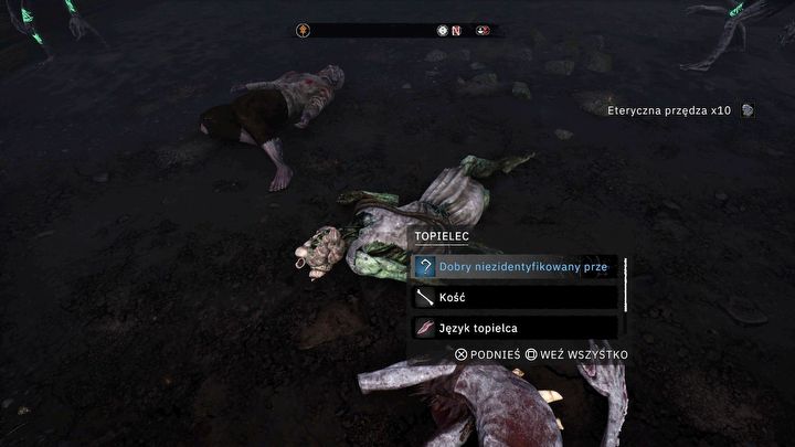 1 - Tainted Grail: Jak identyfikować przedmioty? - Tainted Grail - poradnik i mapa