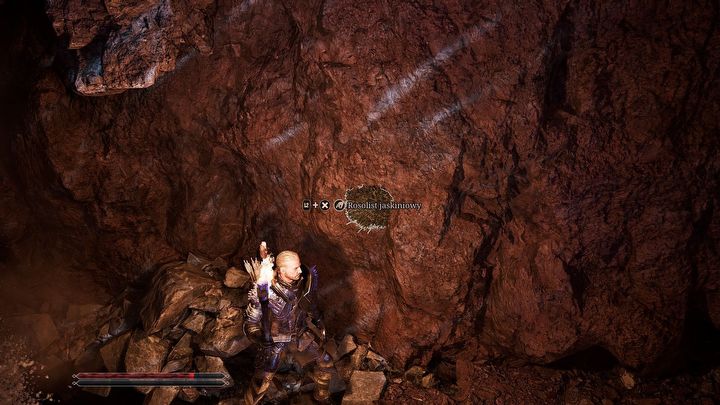 5 - Gothic Remake: Na dwa razy - Gothic Remake - poradnik do gry