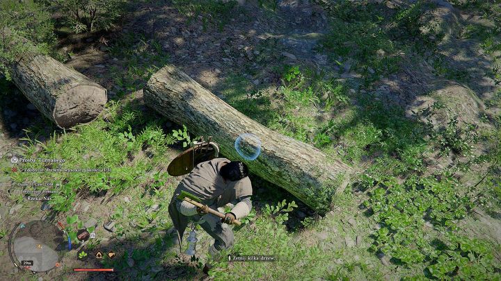 4 - Crimson Desert: Jak zdobyć drewno wysokiej jakości i jak ścinać drzewa? - Crimson Desert - poradnik do gry