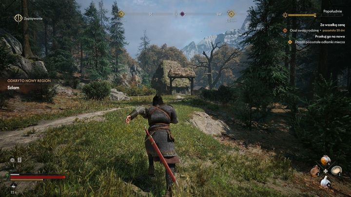 1 - Dawnwalker: Dobry Samarytanin - The Blood of Dawnwalker - poradnik do gry