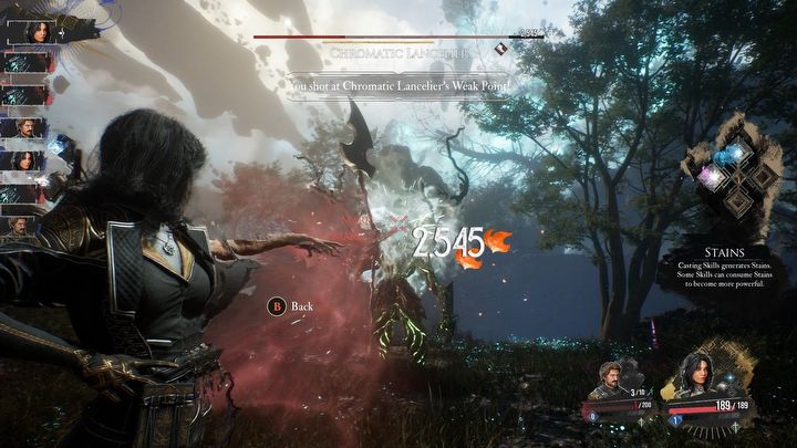 1 - Expedition 33: Porady na start - Expedition 33 - poradnik do gry