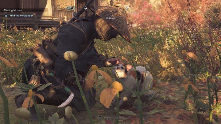 2 - Assassins Creed Shadows: Czy można głaskać zwierzęta? - Assassins Creed Shadows - poradnik do gry