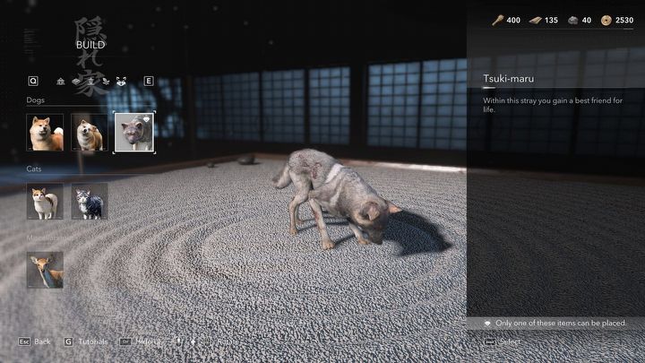 4 - Assassins Creed Shadows: Czy można głaskać zwierzęta? - Assassins Creed Shadows - poradnik do gry