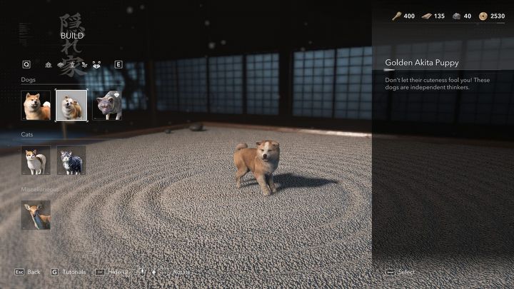 5 - Assassins Creed Shadows: Czy można głaskać zwierzęta? - Assassins Creed Shadows - poradnik do gry