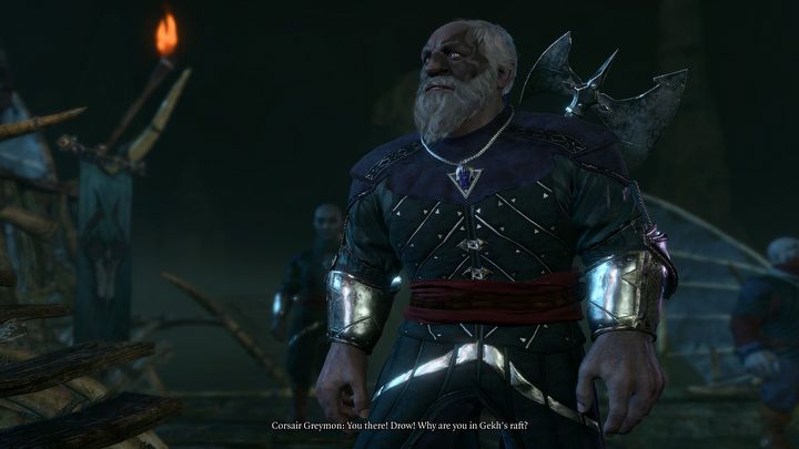 3 - Baldurs Gate 3: Ocal gnomy z kuźni Gryma - Baldurs Gate 3 - poradnik do gry