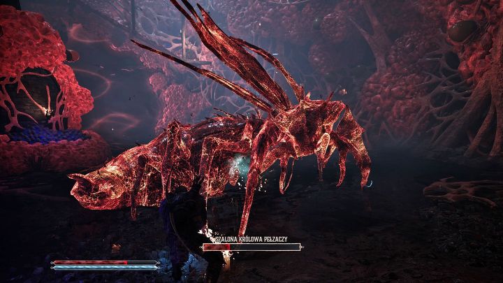 6 - Gothic Remake: Finałowy boss - Gothic Remake - poradnik do gry