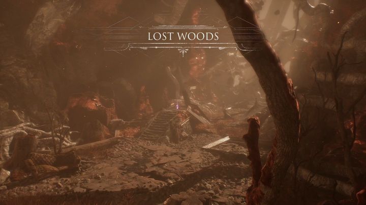 9 - Expedition 33: Wszystkie płyty gramofonowe - Expedition 33 - poradnik do gry