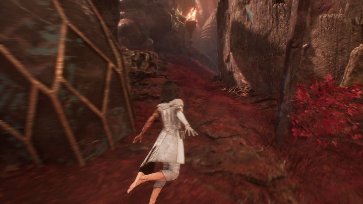 5 - Expedition 33: Wszystkie dzienniki - Expedition 33 - poradnik do gry