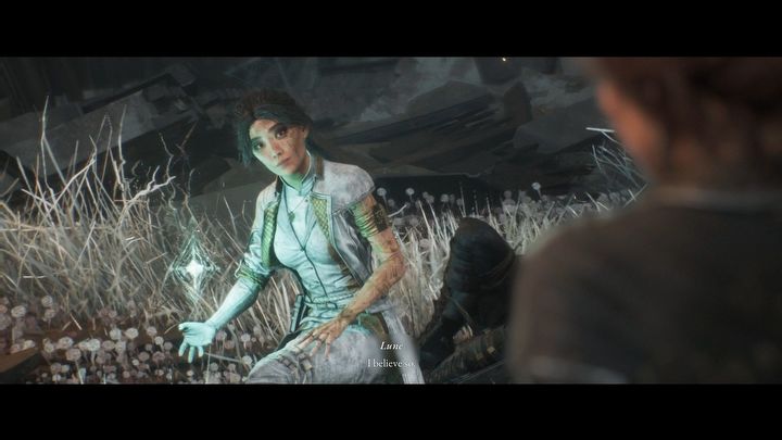 19 - Expedition 33: Wszystkie dzienniki - Expedition 33 - poradnik do gry