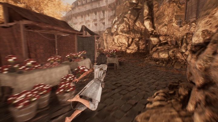 29 - Expedition 33: Wszystkie dzienniki - Expedition 33 - poradnik do gry