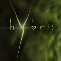 Okładka Hybris (PC)