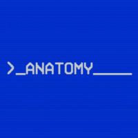 Okładka Anatomy (PC)