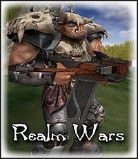 Okładka Realm Wars (PC)